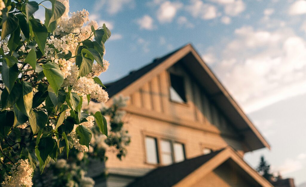 Photo by: Devon McKay on Unsplash https://unsplash.com/photos/white-flowers-with-green-leaves-during-daytime-Sk72X-7Y3qU